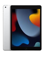 iPad 10.2 cala Wi-Fi 256GB - Srebrny-1209427